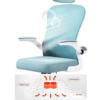 2 Silla Ergonómicas de Oficina